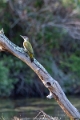 teich0923 (8)